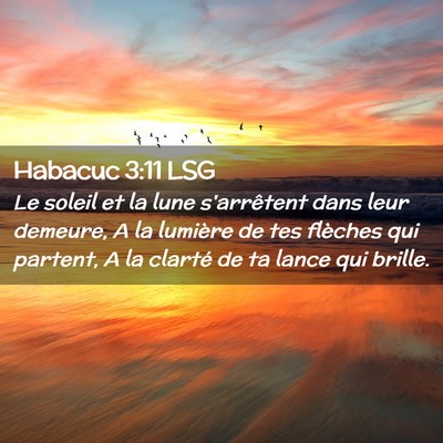Picture 02 - Habacuc 3:11 LSG - Le soleil et la lune s'arrêtent dans leur - Bible Verse Picture
