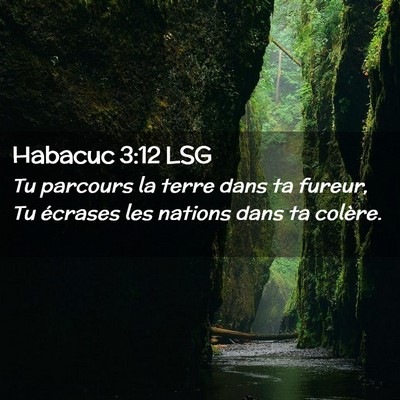 Picture 02 - Habacuc 3:12 LSG - Tu parcours la terre dans ta fureur, Tu écrases - Bible Verse Picture
