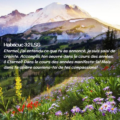 Picture 02 - Habacuc 3:2 LSG - Eternel, j'ai entendu ce que tu as annoncé, je - Bible Verse Picture