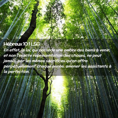 Picture 02 - Hébreux 10:1 LSG - En effet, la loi, qui possède une ombre des - Bible Verse Picture