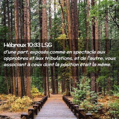 Picture 02 - Hébreux 10:33 LSG - d'une part, exposés comme en spectacle aux - Bible Verse Picture