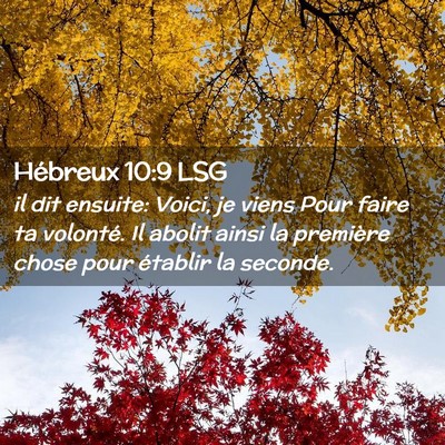 Picture 02 - Hébreux 10:9 LSG - il dit ensuite: Voici, je viens Pour faire ta - Bible Verse Picture