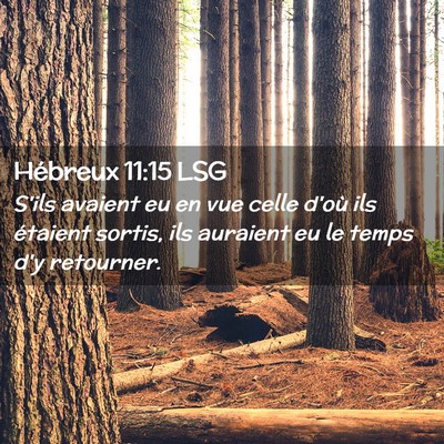 Picture 02 - Hébreux 11:15 LSG - S'ils avaient eu en vue celle d'où ils étaient - Bible Verse Picture
