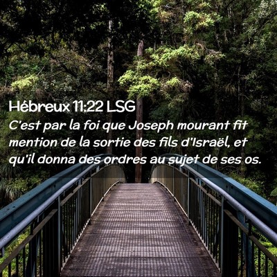 Picture 02 - Hébreux 11:22 LSG - C'est par la foi que Joseph mourant fit mention - Bible Verse Picture