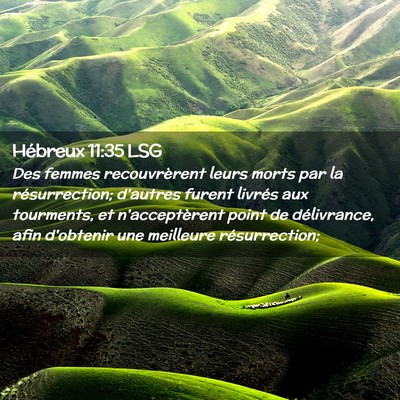 Picture 02 - Hébreux 11:35 LSG - Des femmes recouvrèrent leurs morts par la - Bible Verse Picture