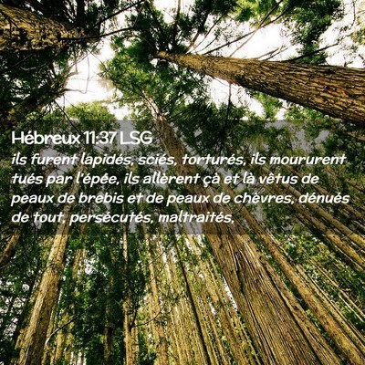 Picture 02 - Hébreux 11:37 LSG - ils furent lapidés, sciés, torturés, ils - Bible Verse Picture