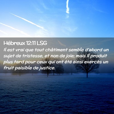 Picture 02 - Hébreux 12:11 LSG - Il est vrai que tout châtiment semble d'abord un - Bible Verse Picture