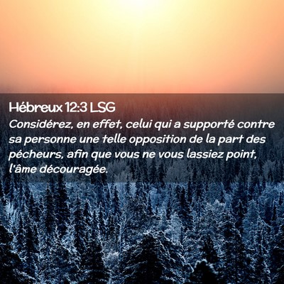 Picture 02 - Hébreux 12:3 LSG - Considérez, en effet, celui qui a supporté - Bible Verse Picture