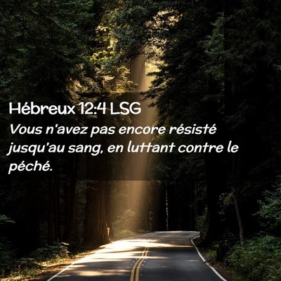 Picture 02 - Hébreux 12:4 LSG - Vous n'avez pas encore résisté jusqu'au sang, - Bible Verse Picture