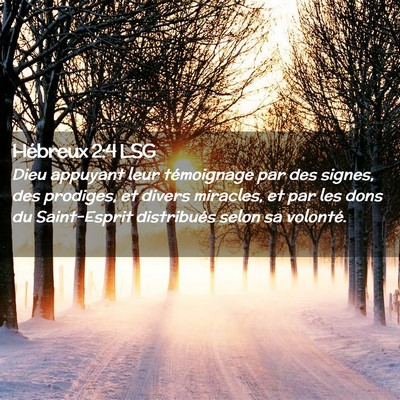 Picture 02 - Hébreux 2:4 LSG - Dieu appuyant leur témoignage par des signes, - Bible Verse Picture