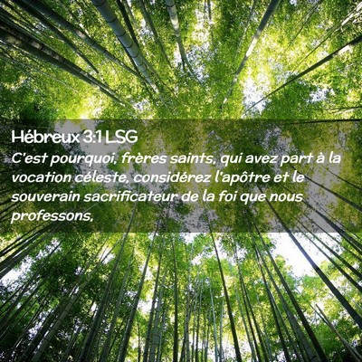 Picture 02 - Hébreux 3:1 LSG - C'est pourquoi, frères saints, qui avez part à - Bible Verse Picture