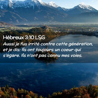 Picture 02 - Hébreux 3:10 LSG - Aussi je fus irrité contre cette génération, - Bible Verse Picture
