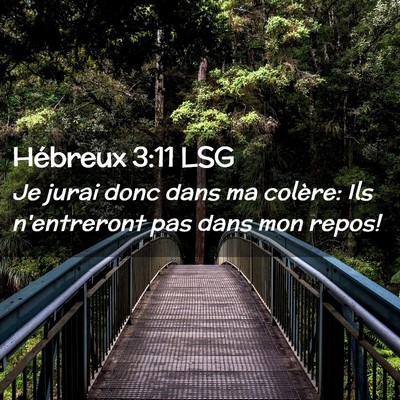 Picture 02 - Hébreux 3:11 LSG - Je jurai donc dans ma colère: Ils n'entreront - Bible Verse Picture