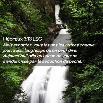 Picture 02 - Hébreux 3:13 LSG - Mais exhortez-vous les uns les autres chaque - Bible Verse Picture