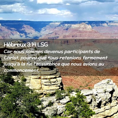 Picture 02 - Hébreux 3:14 LSG - Car nous sommes devenus participants de Christ, - Bible Verse Picture