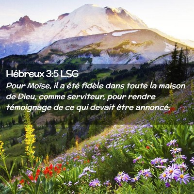 Picture 02 - Hébreux 3:5 LSG - Pour Moïse, il a été fidèle dans toute la - Bible Verse Picture