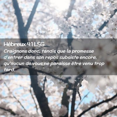 Picture 02 - Hébreux 4:1 LSG - Craignons donc, tandis que la promesse d'entrer - Bible Verse Picture