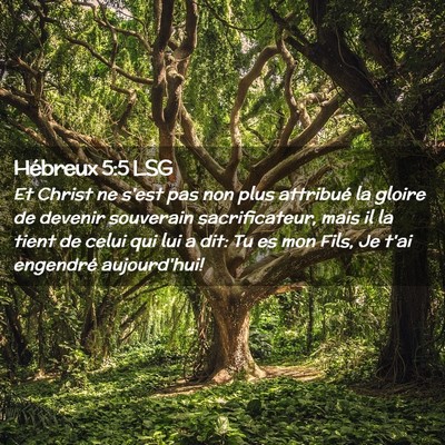 Picture 02 - Hébreux 5:5 LSG - Et Christ ne s'est pas non plus attribué la - Bible Verse Picture