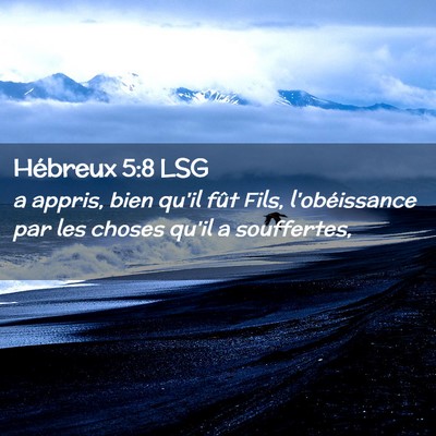 Picture 02 - Hébreux 5:8 LSG - a appris, bien qu'il fût Fils, l'obéissance par - Bible Verse Picture