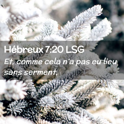 Picture 02 - Hébreux 7:20 LSG - Et, comme cela n'a pas eu lieu sans - Bible Verse Picture