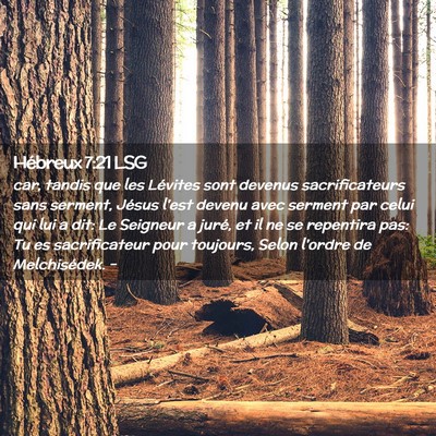 Picture 02 - Hébreux 7:21 LSG - car, tandis que les Lévites sont devenus - Bible Verse Picture