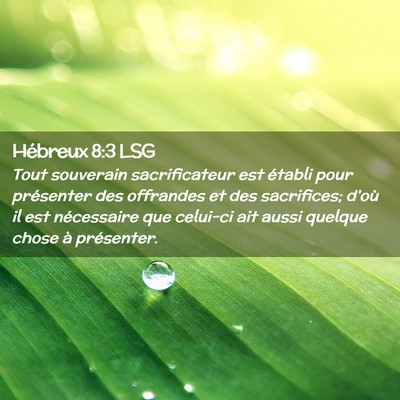 Picture 02 - Hébreux 8:3 LSG - Tout souverain sacrificateur est établi pour - Bible Verse Picture