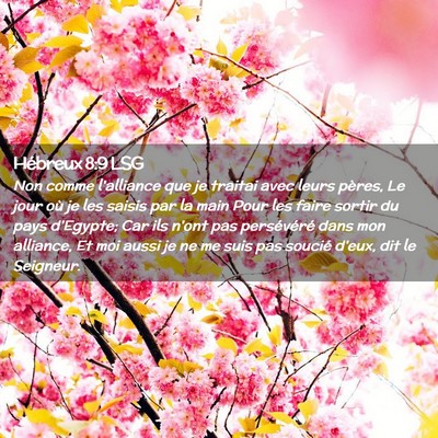 Picture 02 - Hébreux 8:9 LSG - Non comme l'alliance que je traitai avec leurs - Bible Verse Picture