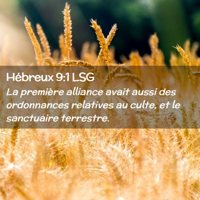Picture 02 - Hébreux 9:1 LSG - La première alliance avait aussi des ordonnances - Bible Verse Picture