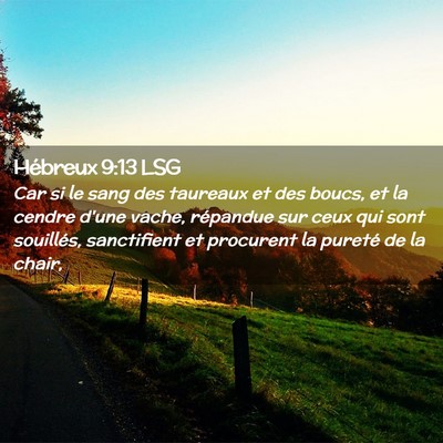 Picture 02 - Hébreux 9:13 LSG - Car si le sang des taureaux et des boucs, et la - Bible Verse Picture
