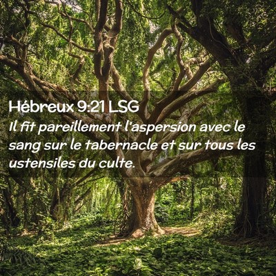 Picture 02 - Hébreux 9:21 LSG - Il fit pareillement l'aspersion avec le sang sur - Bible Verse Picture
