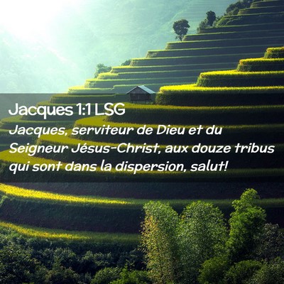 Picture 02 - Jacques 1:1 LSG - Jacques, serviteur de Dieu et du Seigneur - Bible Verse Picture