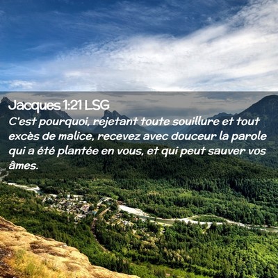 Picture 02 - Jacques 1:21 LSG - C'est pourquoi, rejetant toute souillure et tout - Bible Verse Picture