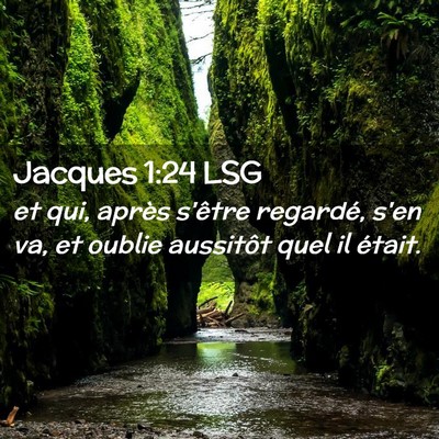 Picture 02 - Jacques 1:24 LSG - et qui, après s'être regardé, s'en va, et - Bible Verse Picture