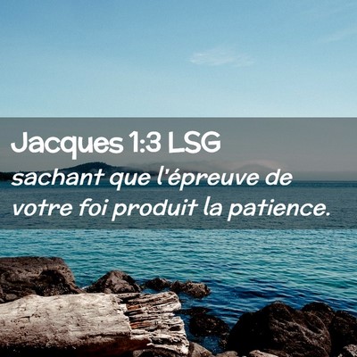 Picture 02 - Jacques 1:3 LSG - sachant que l'épreuve de votre foi produit la - Bible Verse Picture