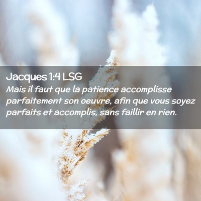 Picture 02 - Jacques 1:4 LSG - Mais il faut que la patience accomplisse - Bible Verse Picture