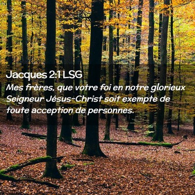 Picture 02 - Jacques 2:1 LSG - Mes frères, que votre foi en notre glorieux - Bible Verse Picture