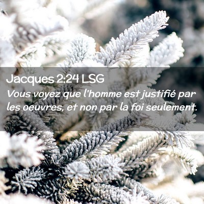 Picture 02 - Jacques 2:24 LSG - Vous voyez que l'homme est justifié par les - Bible Verse Picture