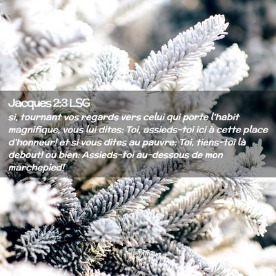 Picture 02 - Jacques 2:3 LSG - si, tournant vos regards vers celui qui porte - Bible Verse Picture