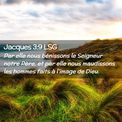 Picture 02 - Jacques 3:9 LSG - Par elle nous bénissons le Seigneur notre Père, - Bible Verse Picture