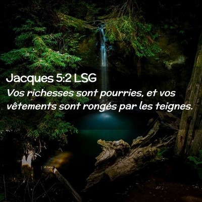 Picture 02 - Jacques 5:2 LSG - Vos richesses sont pourries, et vos vêtements - Bible Verse Picture