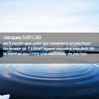 Picture 02 - Jacques 5:20 LSG - qu'il sache que celui qui ramènera un pécheur - Bible Verse Picture