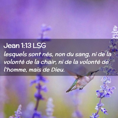 Picture 02 - Jean 1:13 LSG - lesquels sont nés, non du sang, ni de la - Bible Verse Picture