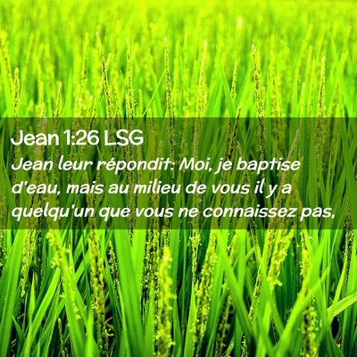 Picture 02 - Jean 1:26 LSG - Jean leur répondit: Moi, je baptise d'eau, mais - Bible Verse Picture
