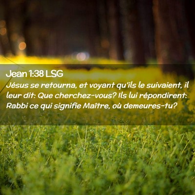 Picture 02 - Jean 1:38 LSG - Jésus se retourna, et voyant qu'ils le - Bible Verse Picture