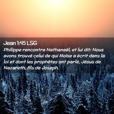 Picture 02 - Jean 1:45 LSG - Philippe rencontra Nathanaël, et lui dit: Nous - Bible Verse Picture