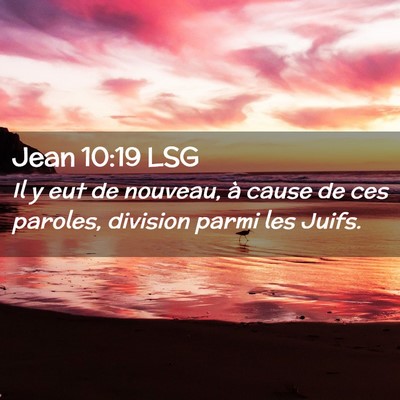 Picture 02 - Jean 10:19 LSG - Il y eut de nouveau, à cause de ces paroles, - Bible Verse Picture