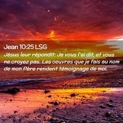 Picture 02 - Jean 10:25 LSG - Jésus leur répondit: Je vous l'ai dit, et vous - Bible Verse Picture