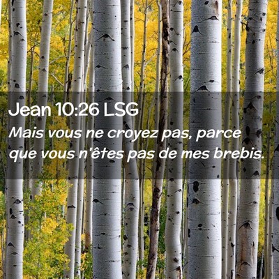 Picture 02 - Jean 10:26 LSG - Mais vous ne croyez pas, parce que vous n'êtes - Bible Verse Picture