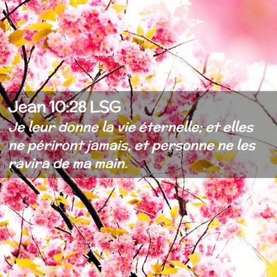 Picture 02 - Jean 10:28 LSG - Je leur donne la vie éternelle; et elles ne - Bible Verse Picture