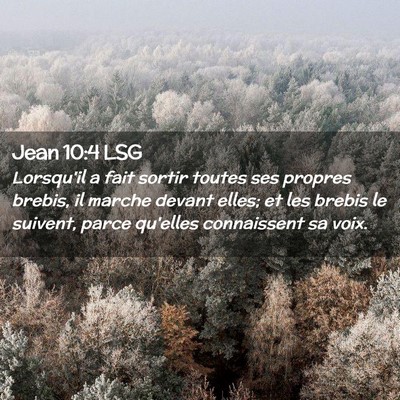 Picture 02 - Jean 10:4 LSG - Lorsqu'il a fait sortir toutes ses propres - Bible Verse Picture